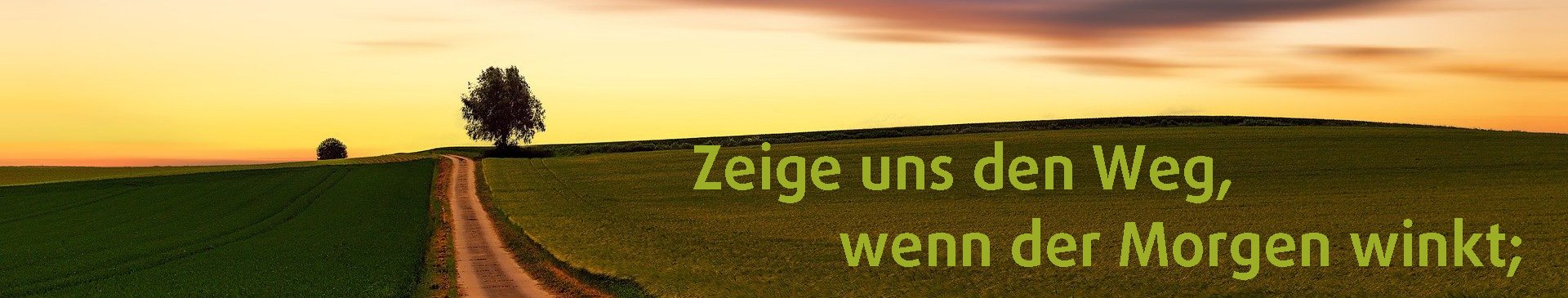 Zeige uns den Weg (c) Pixabay