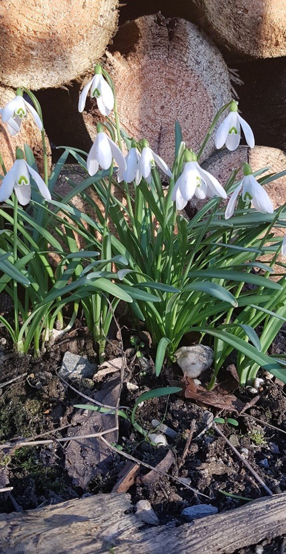 Impuls-Bild (c) Foto: privat Martha O.