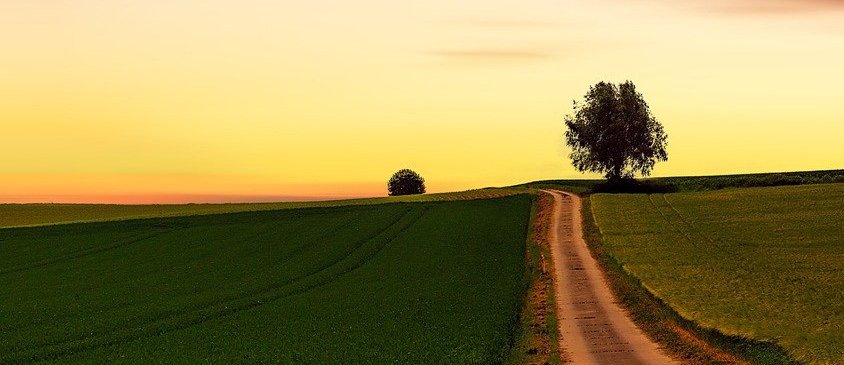 Zeige uns den Weg (c) Pixabay