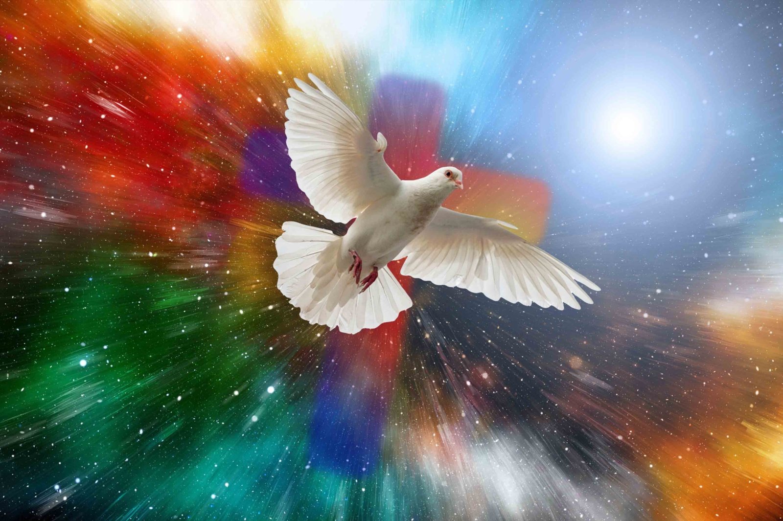 dove-5472118 (c) Bild von Raheel Shakeel / Pixabay